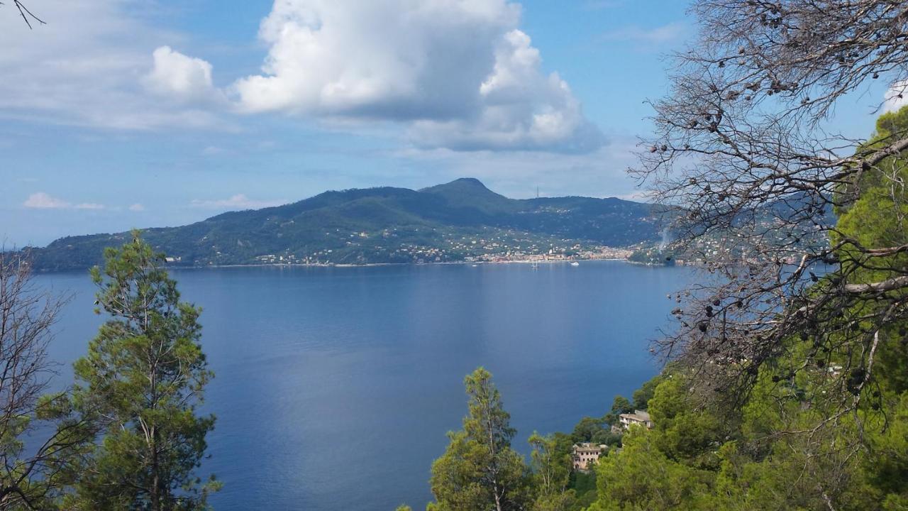 Mare E Vista Portofino - Sea And Portofino View Zoagli Eksteriør bilde